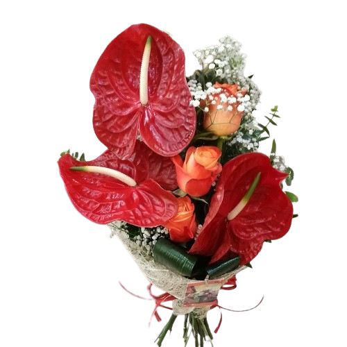 /fileuploads/Produtos/Bouquets e Ramos/thumb_florista_jusart_flores_plantas_rosas_jardim_Rosas 11 (25).png